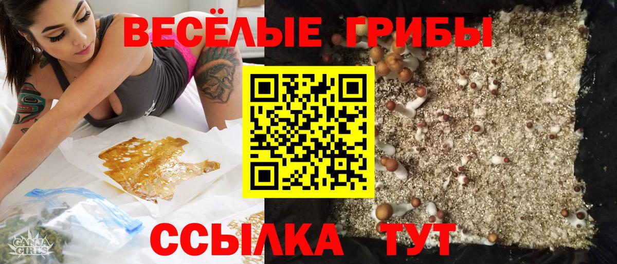 Псилоцибиновые грибы мицелий  Вход с VPN  Карабулак 