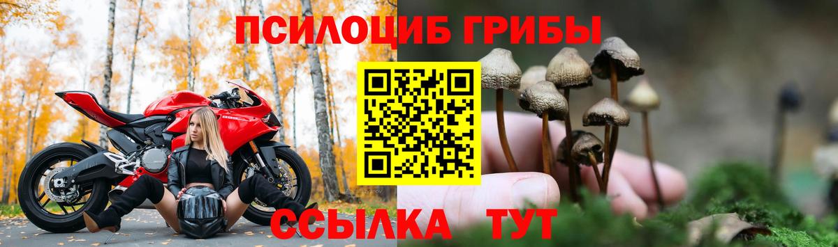 Галлюциногенные грибы прущие грибы Карабулак